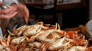 Dungeness Crab: Pull and Crack ‘em Yourself