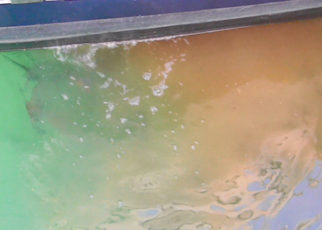 Boaters Can Help Keep Sewage out of the Bay