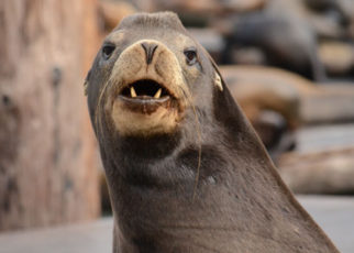 Around the Bay in JANUARY 2014