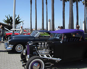 Spring Is in the Air at Jack London Square