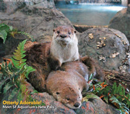 ON OUR COVER July 2013