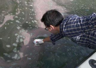 Curbing Industrial Storm Water Pollution in San Francisco Bay