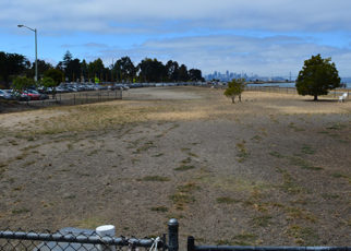 Parking Shortage Dogs Alameda Ferry Terminal
