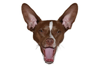 Around the Bay in August 2016