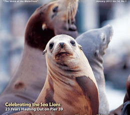 ON OUR COVER January 2013