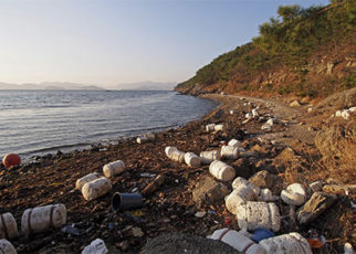 S.F. Leads the Way With Styrofoam Ban