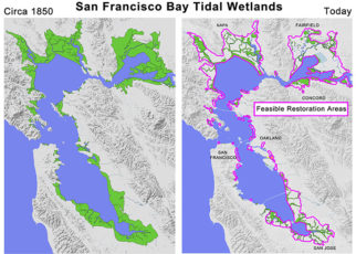 A Vote for Measure AA Is a Vote for the Bay