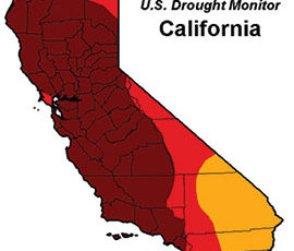 The Drought: It’s Not Over Yet
