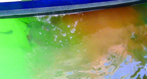 Untreated Raw Sewage Continues to Plague Bay Area Marinas