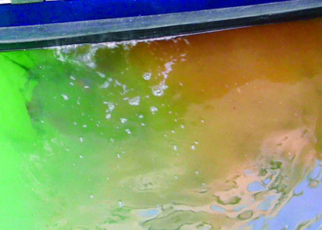 Untreated Raw Sewage Continues to Plague Bay Area Marinas