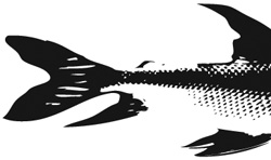Question of a Good Catch