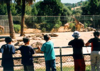 Children’s Fairyland