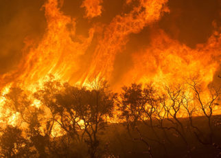 Stakeholders Assemble to Discuss Bay Area Climate Change