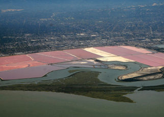 Protecting the Bay From Trump’s EPA