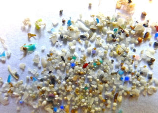 Tiny Plastics, Big Pollution