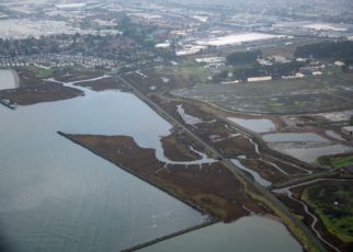King Tides Sound a Pollution Alarm in the Bay
