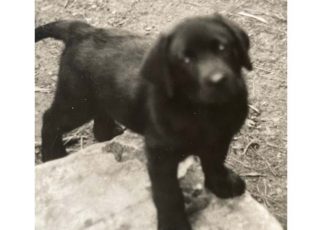 Chance of Alcatraz Makes Its Podcast Debut