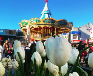 AROUND THE BAY IN FEBRUARY