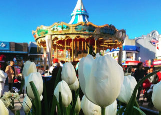 AROUND THE BAY IN FEBRUARY